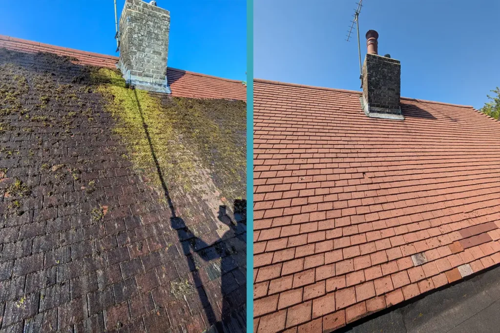 Residential Window Cleaning Fareham Roof cleaning moss removal in Winchester using a low-pressure, high-heat cleaning system with surface cleaners